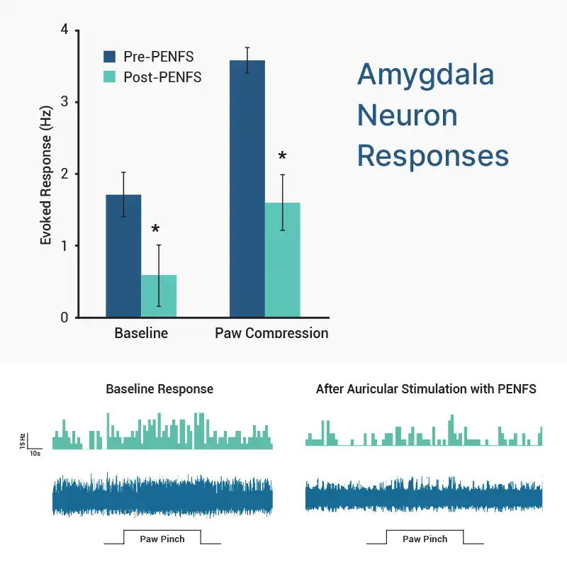 The Science Behind PENFS